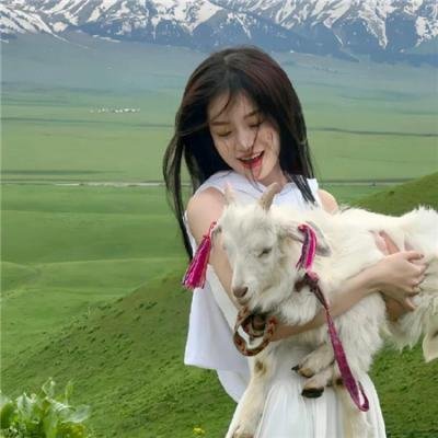 智叻狗仔队